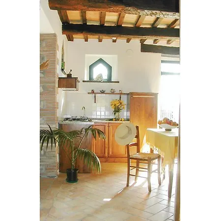 Caicucci 1